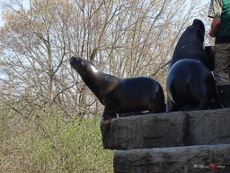 Tiergarten Schönbrunn am 23.03.2023